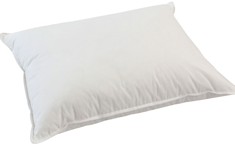 Basic Cotton Pillow