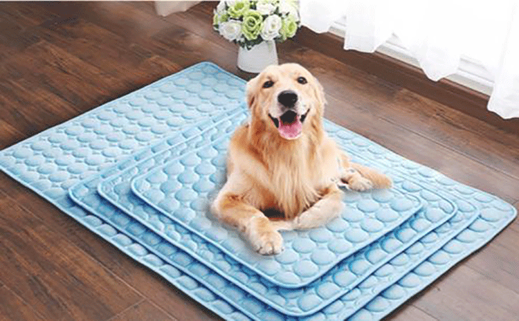 Cooling Dog Mat 